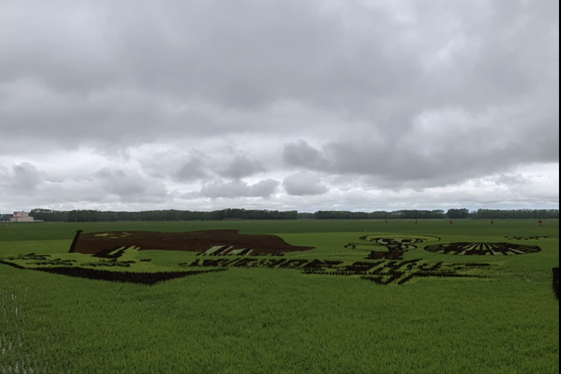 Suibin Farm